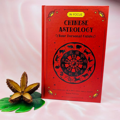 In Focus Chinese Astrology - Your Personal Guide