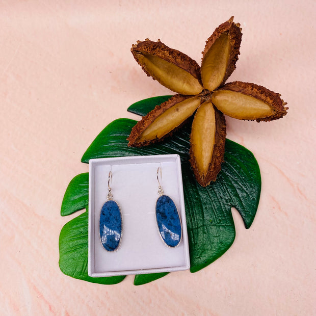 Dumortierite Earrings - #GS8610