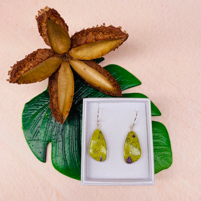 Stichtite in Serpentine Earrings (Atlantisite) - #GS8604