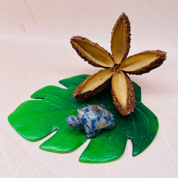 Small Crystal Turtle