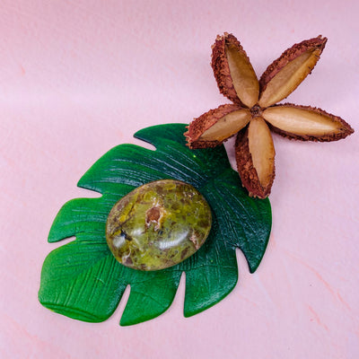 Kiwi Opal Palm Stone - #KO-PS06