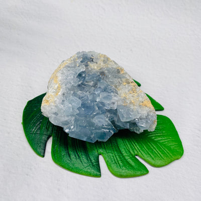 Celestite Cluster - #CEL-CL08