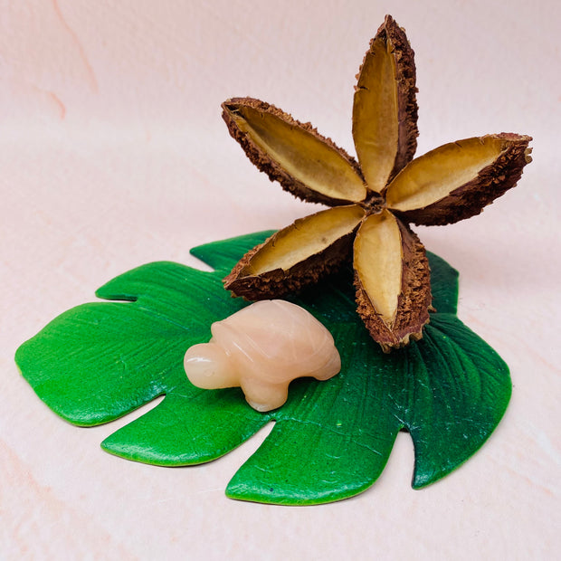 Small Crystal Turtle