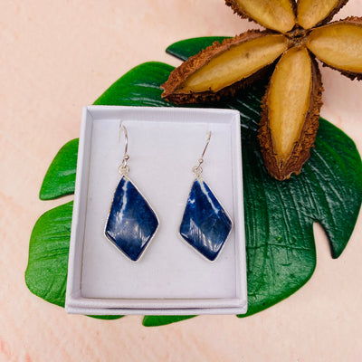 Sodalite Earrings - #GS1026