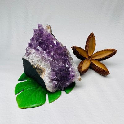 Amethyst Cluster Cut Base - #AM-CLCB02