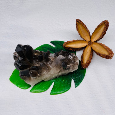 Smokey Quartz Cluster - #SMQ-CL04