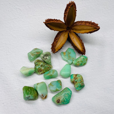 Chrysoprase A Grade - Tumbled Stone