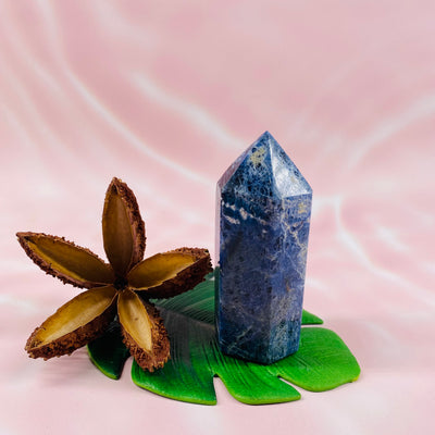 Sodalite Pencil Point - #SOD-PP03