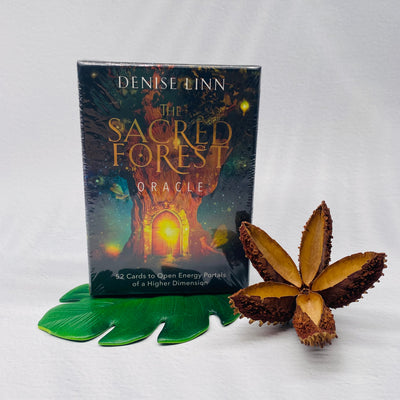 The Sacred Forest Oracle