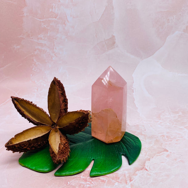 Rose Quartz Polished Point - #RQ-PP04