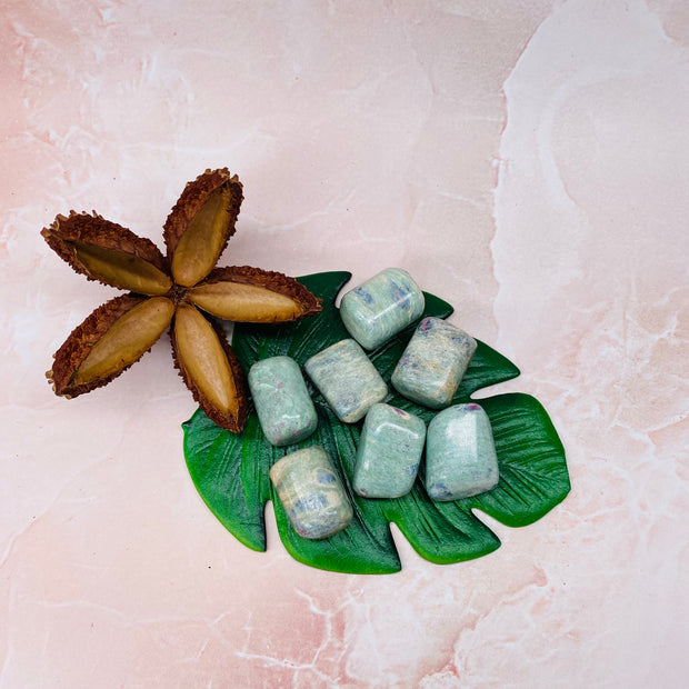 Ruby in Fuchsite - Tumbled Stone