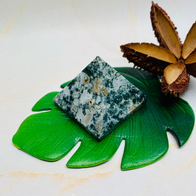 Tree Agate Pyramid - #TA-PY01
