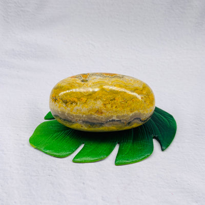 Bumble Bee Jasper Lingham #BBJ-LI01
