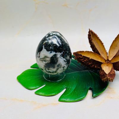 Tree Agate Egg - #TA-EG01