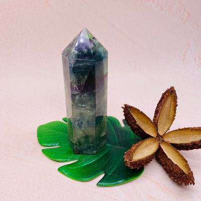 Fluorite Polished Point - #FL-PP02