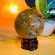 Ammonite Sphere - #AMM-SP02