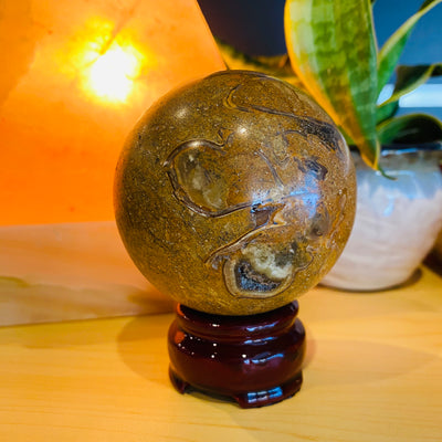 Ammonite Sphere - #AMM-SP02