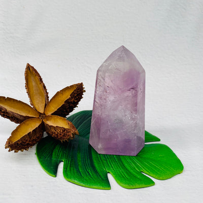 Amethyst Polished Point - #AM-PP02