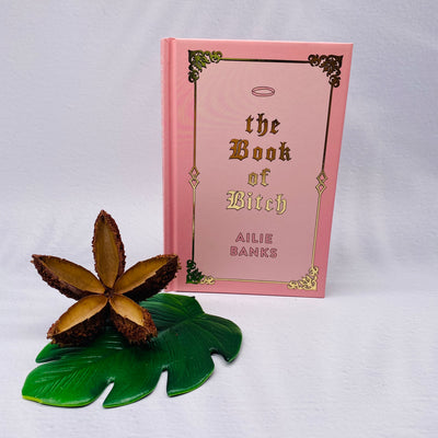 The Book Of Bitch