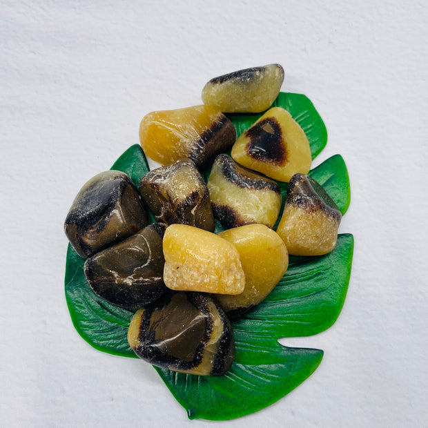 Septarian - Tumbled Stone