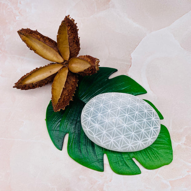 Seed of Life Selenite Palmstone