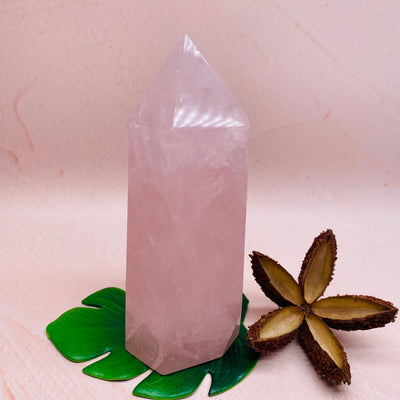 Rose Quartz Polished Point - #RQ-PP01