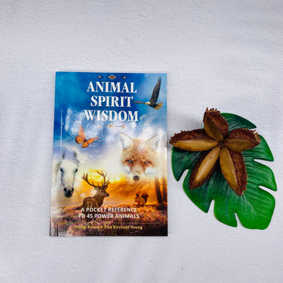 Animal Spirit Wisdom - A Pocket Reference