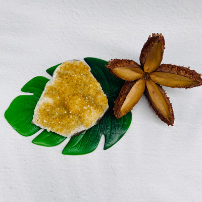 Citrine Cluster - #CI-CL50