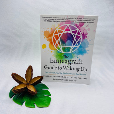 The Enneagram - Guide to Waking Up