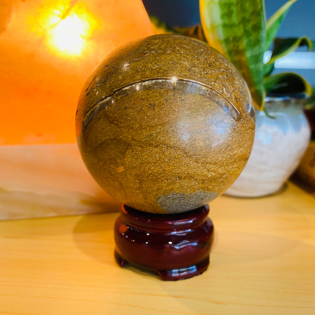 Ammonite Sphere - #AMM-SP02