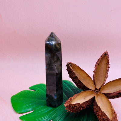 Labradorite Pencil Point - #LAB-PP05