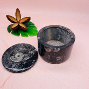 Orthoceras Ammonite - Jewelery Box