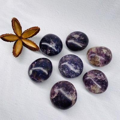 Lepidolite Palm Stone