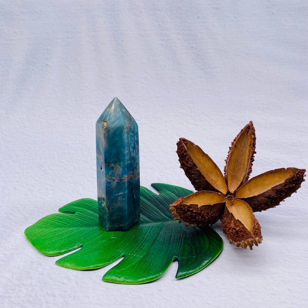 Apatite Polished Point - #AP-PP02