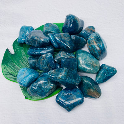 Apatite - Tumbled Stone